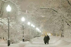 Да уж куда там