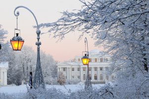 Да уж куда там