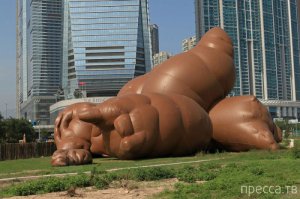 Лучшие арт-проекты этого лета