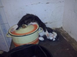 Обед убежал?