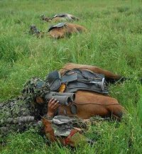 Ретро фотографии о лихих кавалеристских навыках