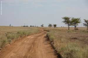 Красота!
Жаль только, что Волгоград-Элиста-Ставрополь так выглядит только в апреле-мае, в остальное время это полупустыня