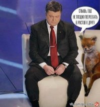 У парня из Киева тоже есть лиса