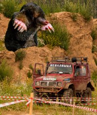 Это кроты!
Биологов заставляют молчать, но кроты, сжирая бытовые отходы с наших помоек, вырастают до огромных размеров! Нам не говорят правду, а всех кто пытается донести её: мочат в сортире. Программа модернизации канализации создана только чтобы затопить пастбища Королевских Кротов с их гигантскими червяками. Мы живём над пропастью, которую они роют, чтобы поработить нас всех. Бойтесь кротов и не верьте рассказам про воровство в муниципальных службах, во всём виноваты кротыыыы!