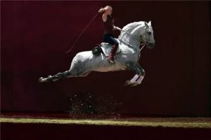 Вот ещё элемент высшей школы верховой езды,каприоль,для отражения атаки