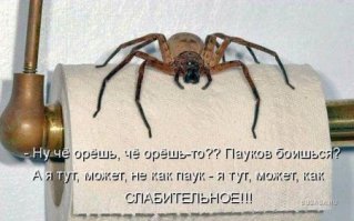  Как легко довести до инфаркта