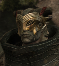 Это черепа кунари. Вот эти ребята.