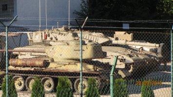 светляки против тяжа