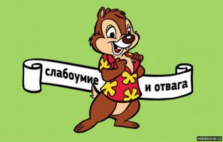 Эти мужья точно знают, как разнообразить семейную жизнь