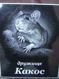 Я не знаю, что такое 3 000 евро, в руках держал разок 36 000$, работал!!!, художником по оформлению памятников, (от 400 до 600$ в месяц)... И сейчас я "радуюсь" заказику на 100-ку $. Фото работ не могу показать по этическим соображениям, но... Чё делать-то сейчас???