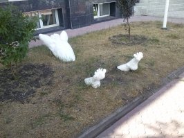 Застрявшие в текстурах 