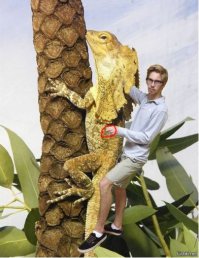 По ходу надувной - пипетку рукой придерживает