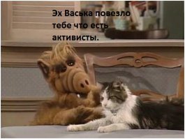 Активисты спасли тысячи котов, которые должны быть стать обедом в ресторанах