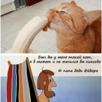 м.б. по аналогии с котом?