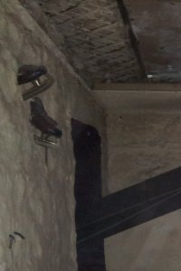 Вот из личного архива, подвал дома сталинской эпохи. 
Особенно умиляет то, что когда красили стену их заботливо оставили не тронутыми.