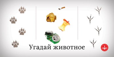 Позвольте немного не согласиться с Вами . Я сам иногда задумываюсь над приобретением похожего прибора, но пока ограничиваюсь сбором сопутствующего материала . И то чувство, которое меня настраивает на приобретение металлоискателя - отнюдь не жажда наживы . Скорее интерес . Как интерес к рыбалке - не рыбаку, а геймеру, например, это сложно объяснить . Кстати, автор упоминает о сборе мусора ... Сам, как рыбак , постоянно сталкиваюсь с такой проблемой . Люди, выезжающие на природу ведут себя как ушлёпки . Я всегда, уезжая с рыбацкого места, прихватываю с собой чужой мусор ( сколько могу ) . И, уверен, настоящие люди поступают так-же . Так вот, к чему это я -реклама, если она присутствует , то состоит в другом . Это социальная реклама против свинства . Автору уважуха !