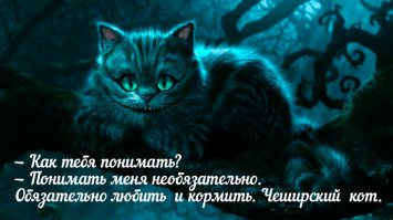 Все оттенки настроения кота в одном забавном комиксе