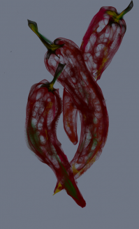 Вот,в приложении Sketch Guru на телефоне, пальцем.