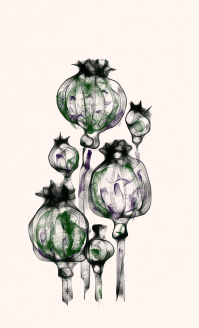 Вот,в приложении Sketch Guru на телефоне, пальцем.