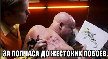 Смешные картинки вызывающие искреннюю улыбку