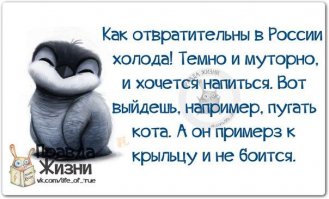 Тайцы спасаются от смертельного холода