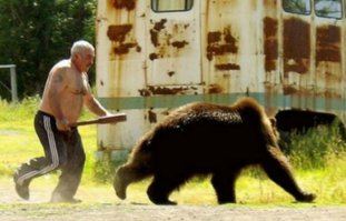 Фотоподборка за 26.01.2016