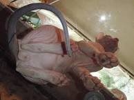 Уверена. Вы, имели это в виду.