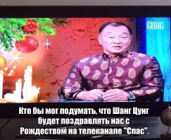 Смешные картинки вызывающие искреннюю улыбку