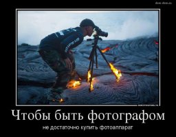 Охота за хорошим кадром