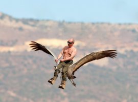 Неее. Вот Альфа-птиц)))