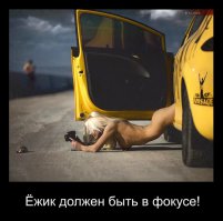 Охота за хорошим кадром