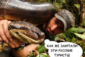 Что делать, если вас жрет анаконда
