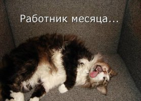 13 необычных и неожиданно прибыльных профессий