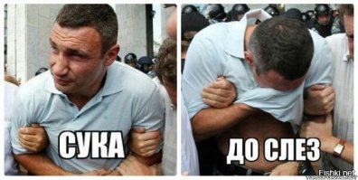 11. "Волшебник из страны Оз" Фрэнка Баума

– А как ты можешь разговаривать, если у тебя нет мозгов? – спросила Дороти.
– Я не знаю. Но многие из тех, у кого нет мозгов, очень любят разговаривать, – ответило Чучело.
