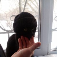 Моя на днях так же шапку постирала. Как вспомню, так плачу со смеху