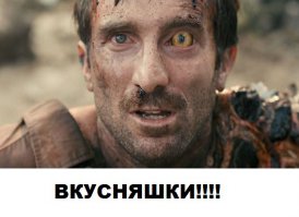 "Отвага" на грани слабоумия:Блогер попробовал на вкус 12 кошачьих кормов и подбил итоги