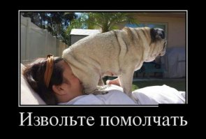 ну вот это же шедевр