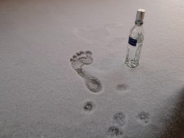 Фотоподборка за 27.01.2016