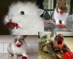 Слегка жутковато..