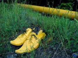 Всё жопы да жопы...а меня эта фотка приколола :) Прям как у Ильфа и Петрова...видимо попал под лошадь 

 Адрес,— просительно молвила вдова,— нельзя ли адрес узнать?

— Чей адрес?

— О. Бендера.

— Откуда же я знаю?

— А вот товарищ говорил, что вы знаете.

— Ничего я не знаю. Обратитесь в адресный стол.

— А может, вы вспомните, товарищ? В желтых ботинках.

— Я сам в желтых ботинках. В Москве еще двести тысяч человек в желтых ботинках ходят
:)