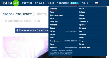 зверёк отдыхает