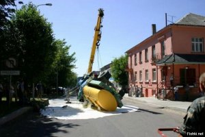 Мурки звали всех своих знакомых из других районов города, чтобы сообщить большую новость: Всем кошачьим молоко бесплатно! (пока не скисло)