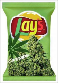 Весёлый тренер по баскетболу