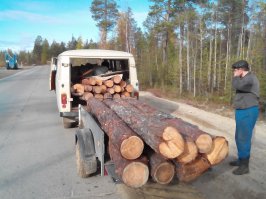 На чем ездят американцы. Личный транспорт 