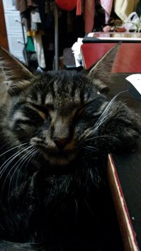 Мои Рыж и Хасан.