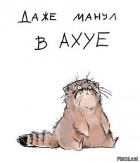 Девушка в окне