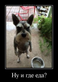 Херь какая-то). Всегда что-то можно нормальное придумать.