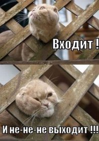 12 людей, застрявших головой из-за своего любопытства 