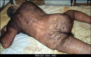 Про волосатость все понятно.