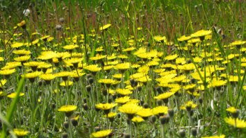Задолдбала зима... Соскучился по лету...